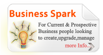 Business Spark